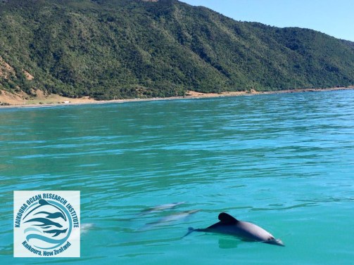 hectors green hill watermarked