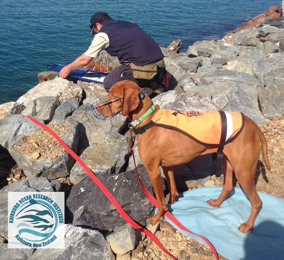 mena1 watermarked.jpg